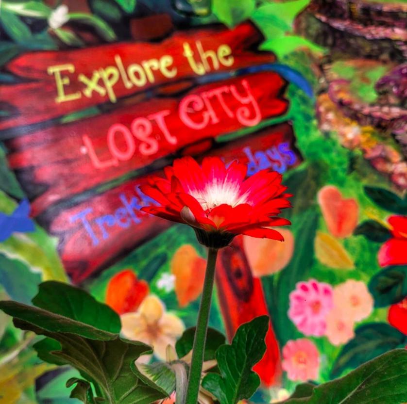 Fatima Hostel Santa Marta エクステリア 写真